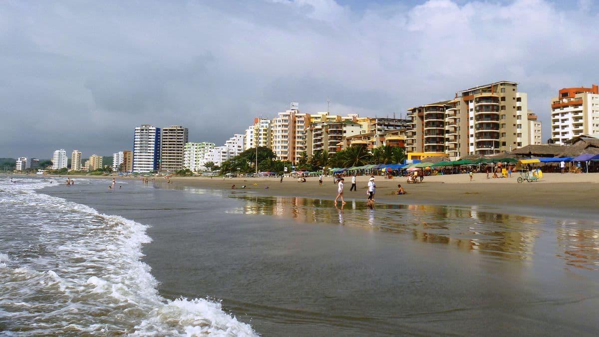 Imagen del artículo