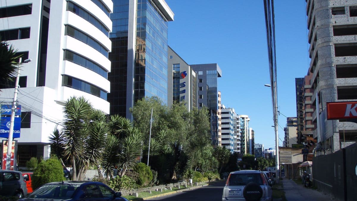 Imagen del artículo