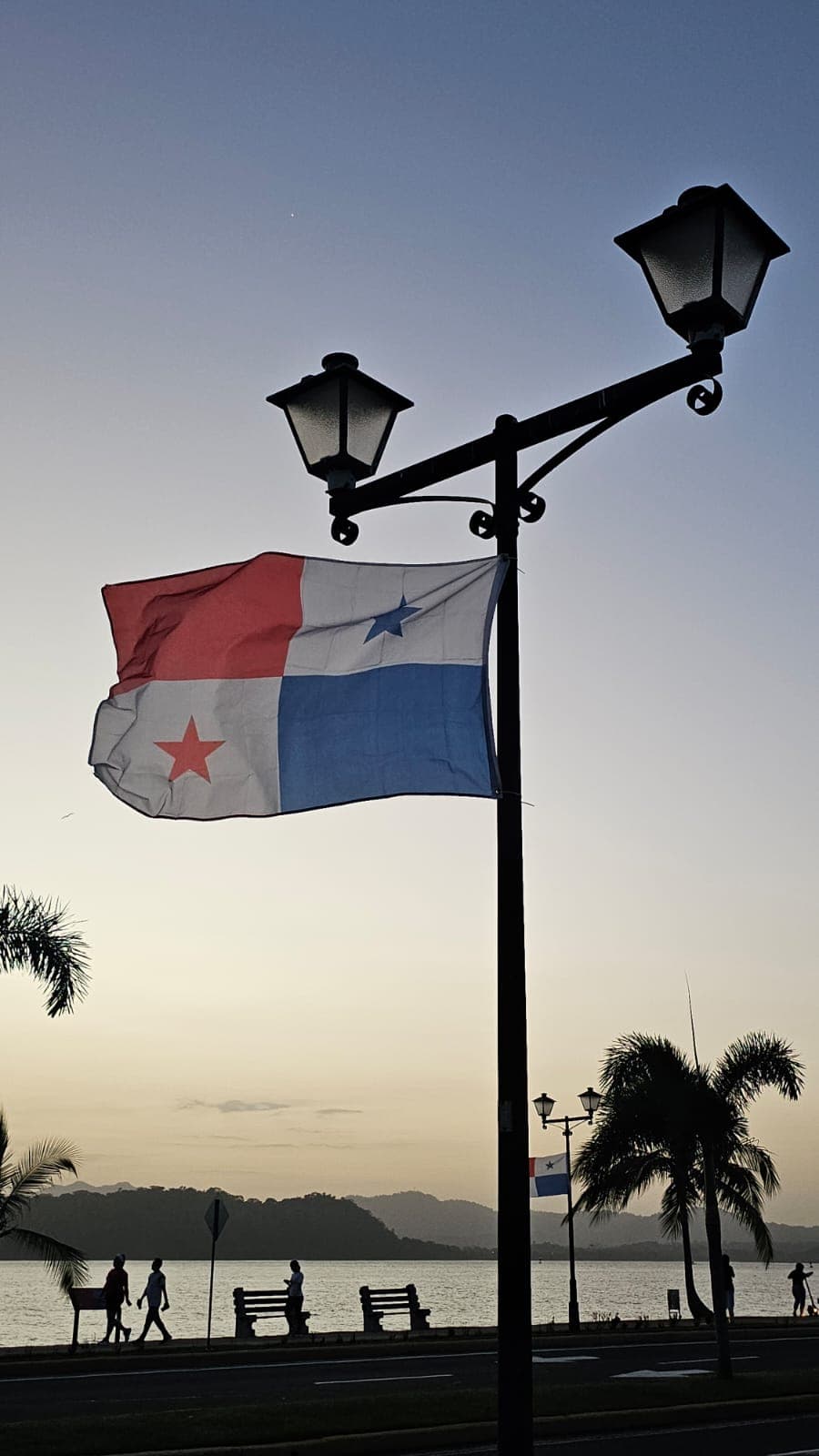 Imagen del artículo