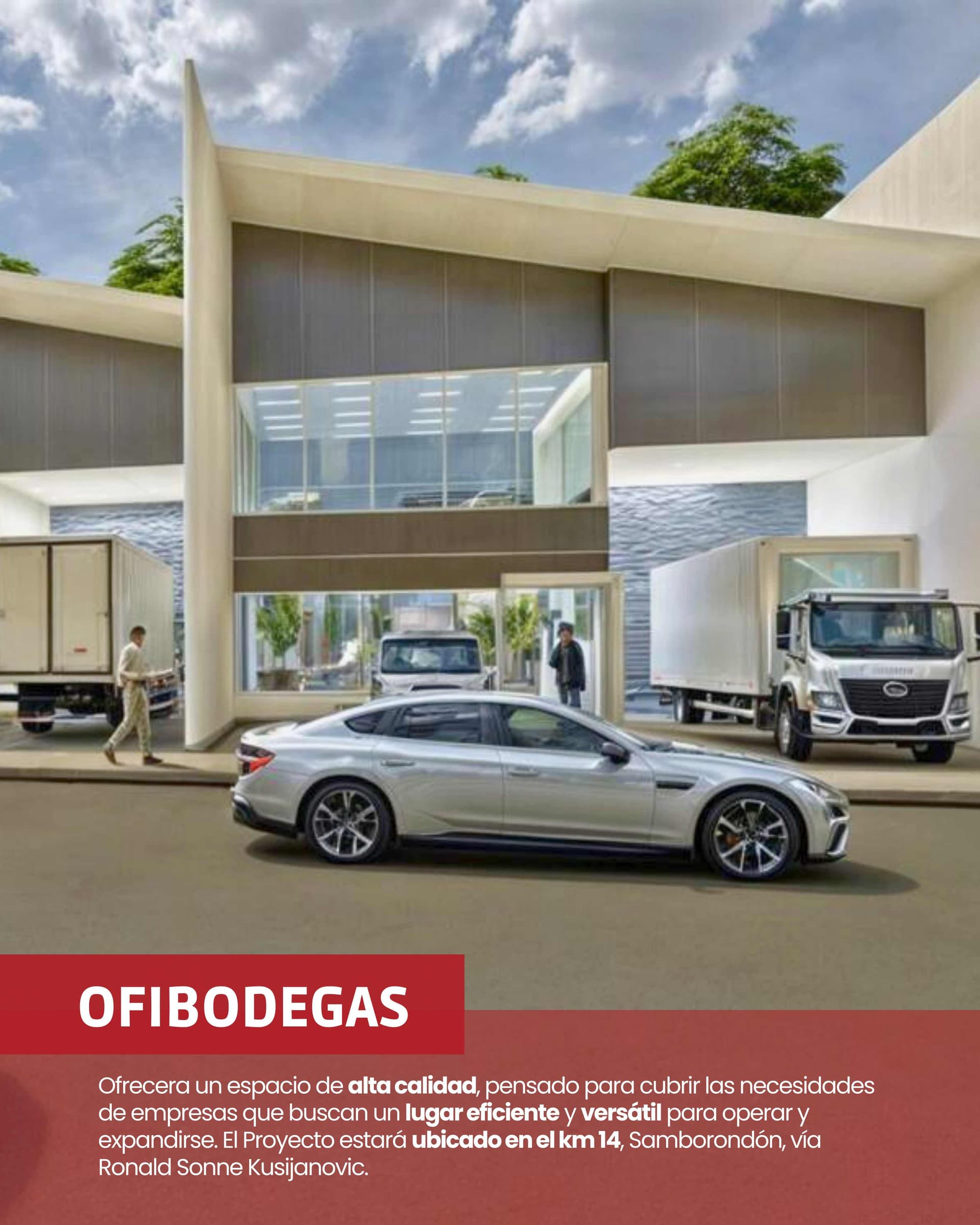 Imagen del artículo