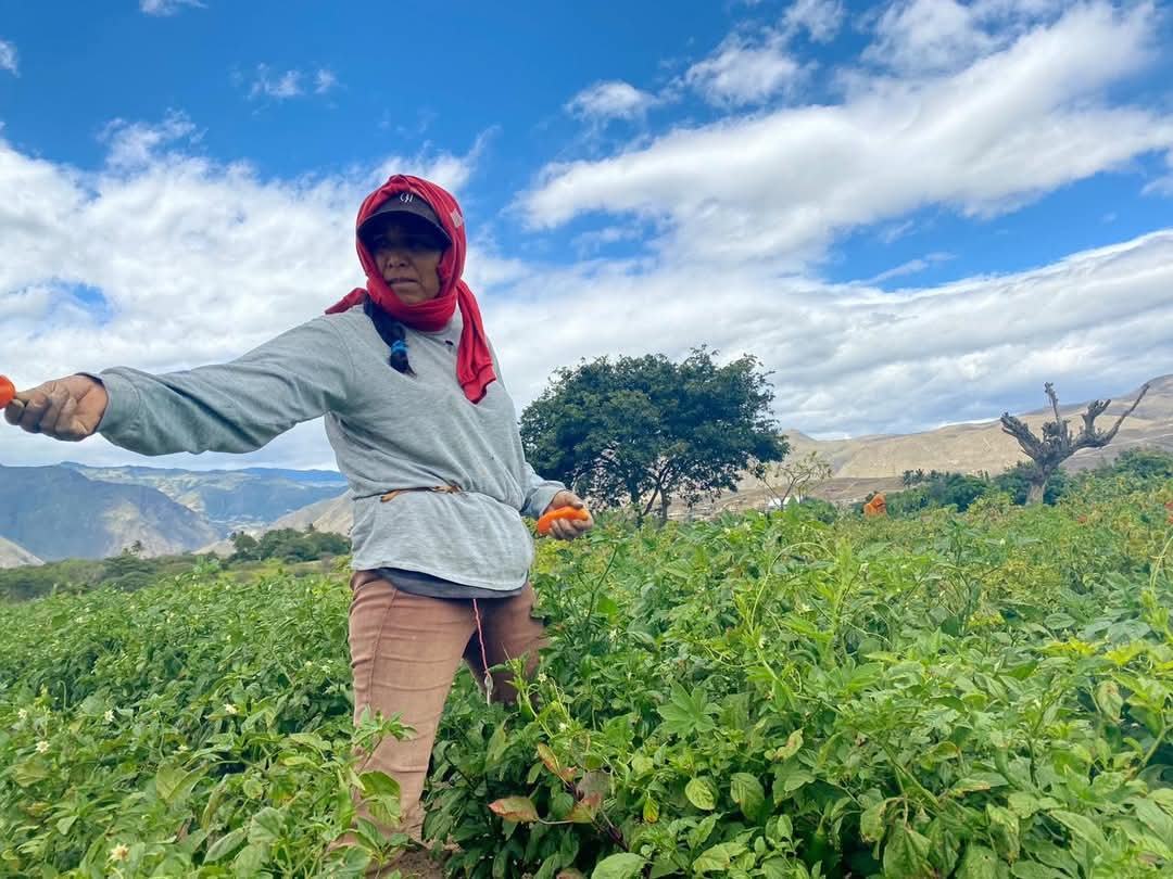 Imagen del artículo