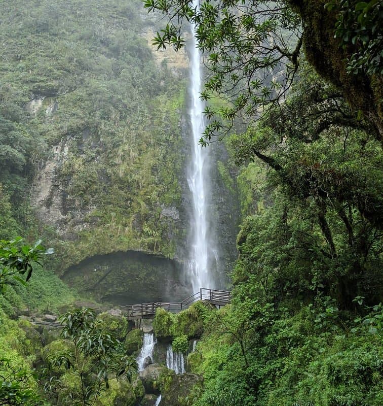 Imagen del artículo