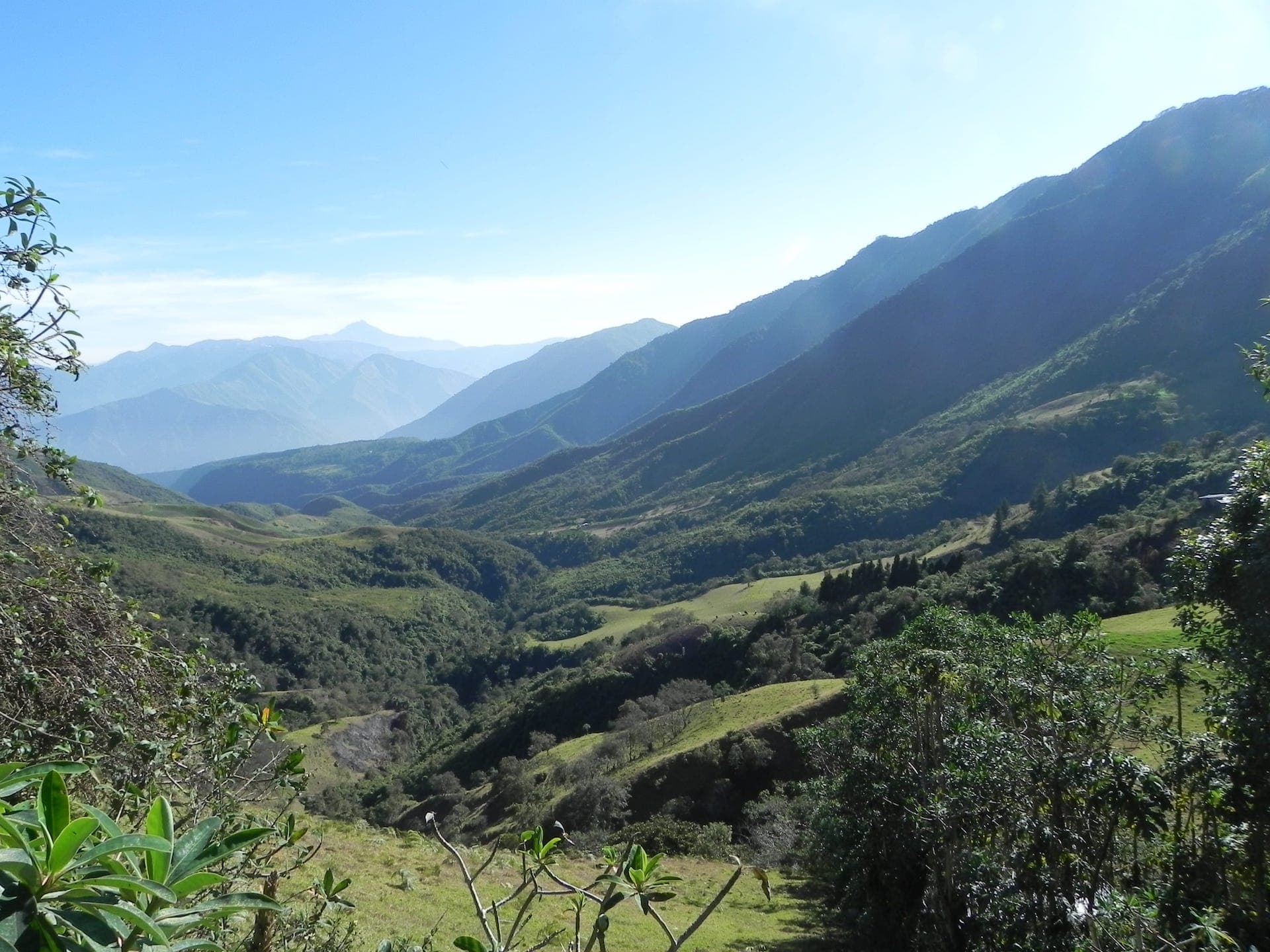 Imagen del artículo